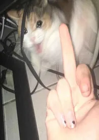 讨厌又怎幺样,还不是要乖乖挨操(百合H)