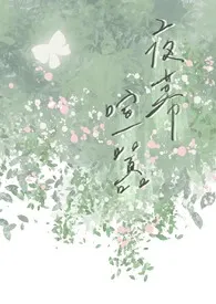 夜幕喧嚣(伪骨科)
