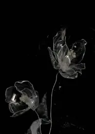 黑色欲望（偷情H）