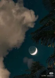 长夜（nph/强制/骨科）