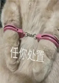 穿越单元合集gl(纯百+futa+abo)