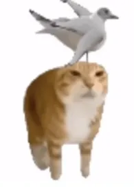 男朋友好像变伪人了（年下，h）