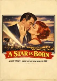 一个明星的诞生(美娱剧情1v1)