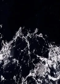 青梅豢养(强制爱,青梅竹马)