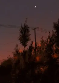 他甘愿(真骨/兄妹/1v1h)