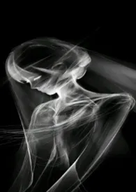 异生物替身（人外）