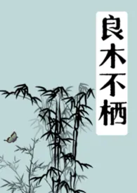 良木不栖（1v1 伪叔侄）