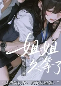 姐姐,久等了(1V1/H/女出轨)