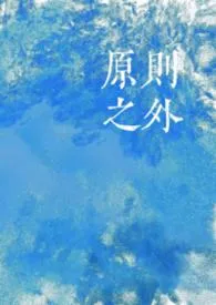 原则之外(骨科 np)