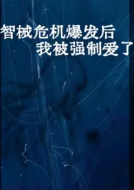 智械危机爆发后我被强制爱了